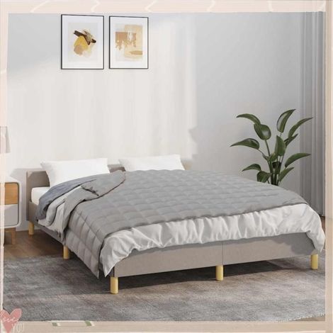 350719 Couverture lestée Gris 138x200 cm 10 kg Tissu (1/5)