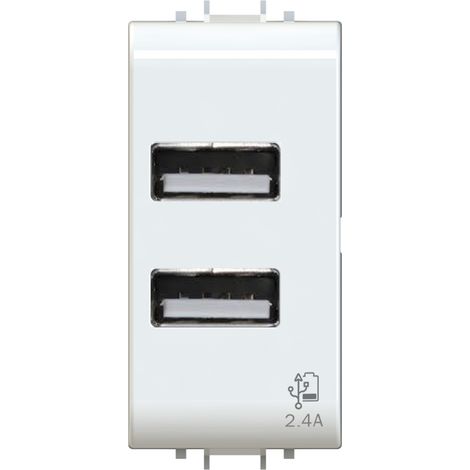 Modulo doppia presa USB 2.0 tipo A, 5Vdc 2,4A, serie U, bianco, compatibile con serie Gewiss Chorus - 4Box USB 2.4 4B.G10.USB.24 (1/4)