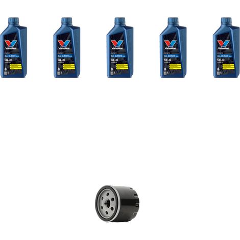 Kit filtro olio e 5L compatibile con Renault Twingo II 1.5 dci 62kw Dal 2008 (1/4)