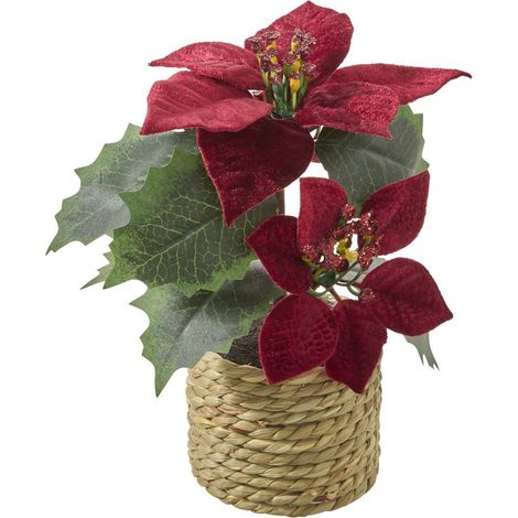 Compo poinsettia velluto h20 - Feeric lights & christmas