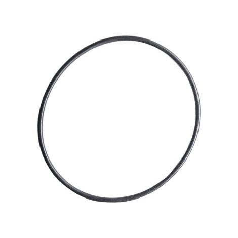 Ersatzteil O-Ring Gehäuse AVPP 10+20