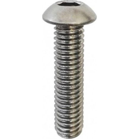 VITI METRICHE TBEI INOX A2 - M8 X 20 - 6 PZ.