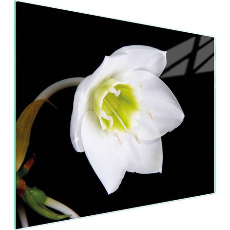 TAGLIERE IN VETRO 52x40 ORCHIDEA (1/5)
