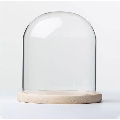 Kaelt - Cloche en Verre avec Base en Bois, diamètre 20 cm. Cloche en Verre avec Base en Bois Massif for Exposer Plantes, Ornements et Figurines.(20 20cm) (1/5)