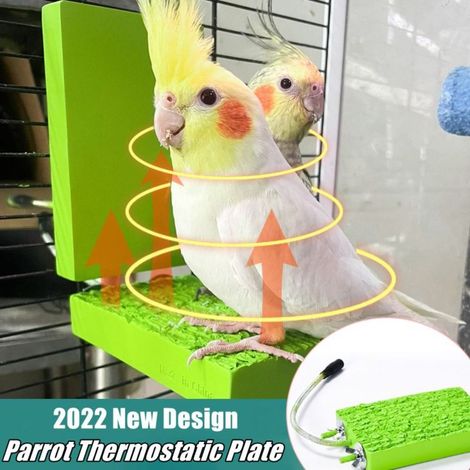 Chauffage 12V pour perchoirs et cages à oiseaux (1/5)