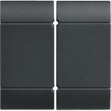 Manette Livinglight pour détecteur d'inondation anthracite BTICINO L4919