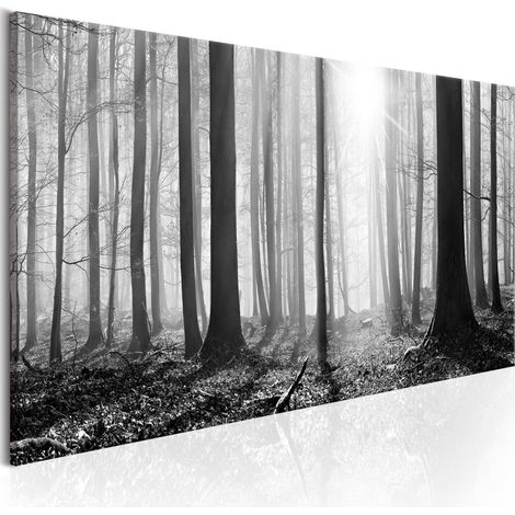 Quadro - Black and White Forest - 150x50 (1/4)