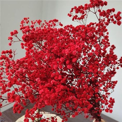 Gypsophile séchée 43 cm 2000 boutons fleurs séchées rouge bouquet mariage déco maison bohème entretien facile (1/5)