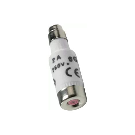 Sicherung D01 gG 2A 400VAC (1/2)