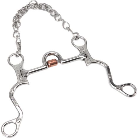 Mors de bride de 120 mm avec chaînette, en acier inoxydable, pour l'entraînement équestre (1/5)