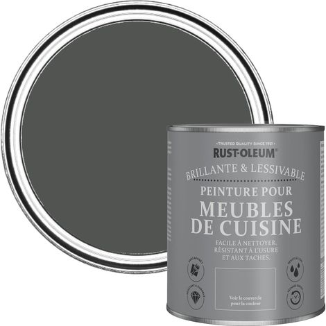 Peinture Grise pour Meubles de Cuisine, Finition Brillante - Graphite 750ml (1/5)