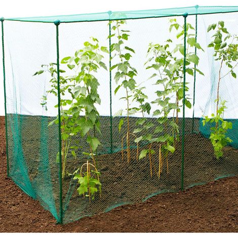Build-a-Cage Fruit & Veg Cage with Butterfly Net - 3.75m x 2.5m x 1.875m high