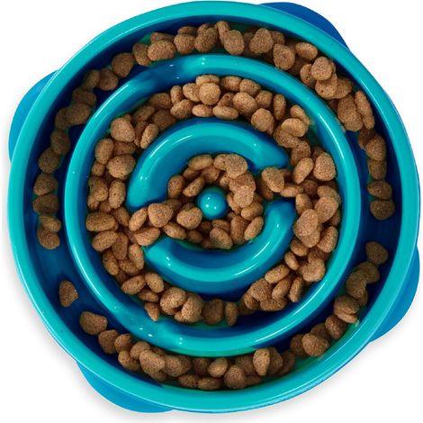 Outward Hound Fun Feeder Slo-Bowl – Gamelle d'alimentation Lente Anti-glouton pour Chien – Größe M/Mini – Türkis (1/5)