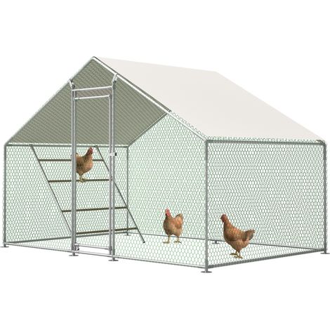Enclos pour volailles 3x2 m avec échelle, serrure de sécurité et bâche PE grise (1/5)