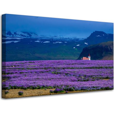 Stampa su tela Natura Campo di lavanda 80x50 cm Fiori viola Tramonto