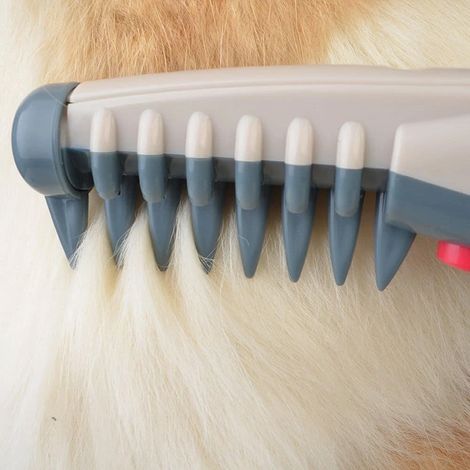 Peigne de toilettage pour chiens et chats, tondeuses pour animaux, outils de nouage (1/4)