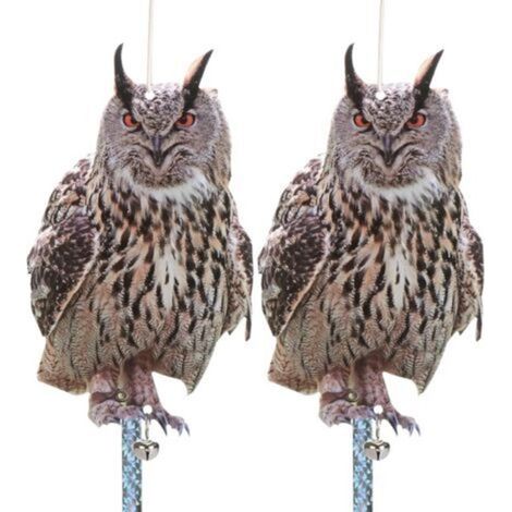 Lot de 2 Effaroucheur Oiseaux avec Bande Repulsive Anti Pigeon Répulsif Oiseaux, Carton Epouvantai Effrayeur D'oiseaux,Hiboux