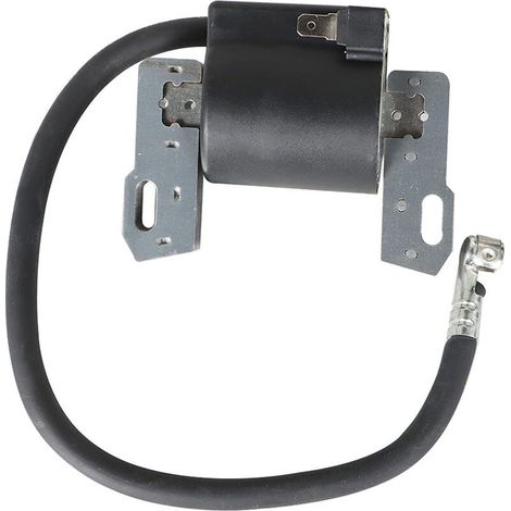 Pièces détachées pour tondeuses Briggs & Plough : bobine d'allumage haute tension (références : 591420, 793281, 496914, 697038). (1/4)