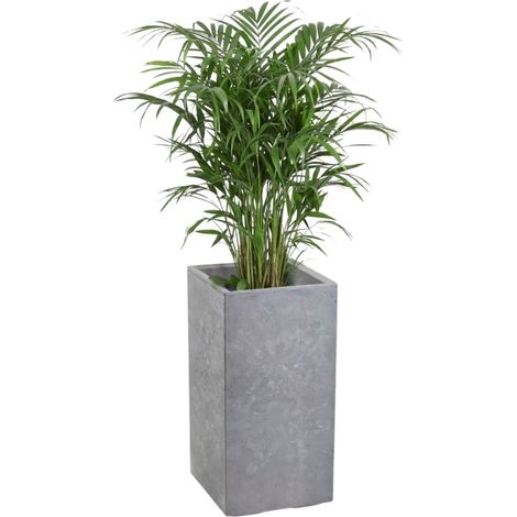 Vaso da fiori Betonique su ruote, cemento grigio, 30x30xh60 cm (1/5)