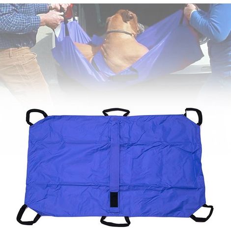 Tiertrage – Tragbarer Haustiertransport – Sicherer Transport – Verstellbare Gurte – 120 x 74 cm – Blau (1/5)