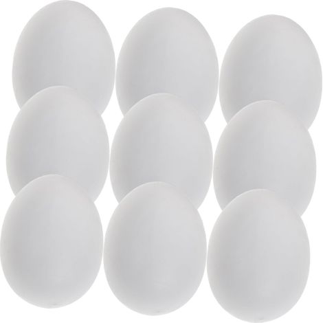 20 Pièces Œufs de Pigeon Factices, en Plastique Solide (1/5)