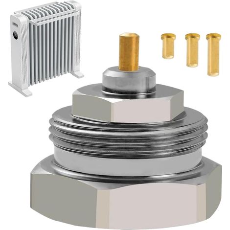 Vanne de Purge d'Air pour Radiateur Adaptateur Métallique (1/5)