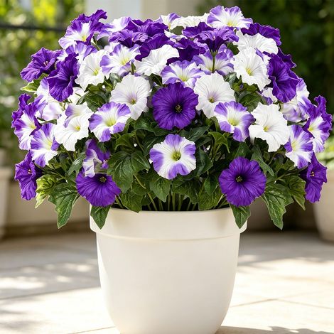 Lot de 6 bouquets de pétunias artificielles comme de vraies fleurs en soie - Résistant aux intempéries - Résistant aux UV - Plantes artificielles de balcon pour extérieur, jardinière, rebord de (1/5)