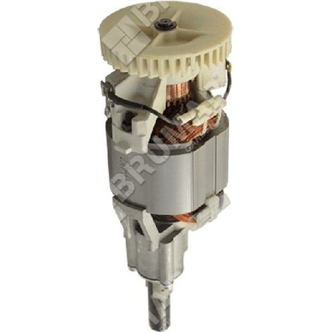 MOTOR ELÉCTRICO COMPATIBLE NOVATEC - 048755