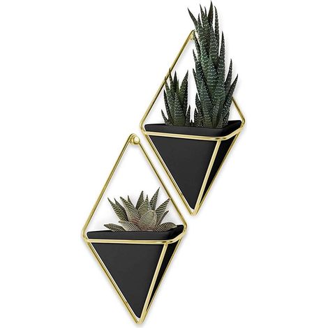 Support à plantes mural Trigg (Lot de 2) (1/8)