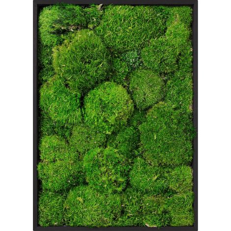 ECD Germany Moosbild Rechteck 38x27 cm Mooswand Indoor mit echtem Kugelmoos, Wanddeko mit Holzrahmen, Wandbild 3D-Effekt, Natürliche Optik, Pflegefrei, Einfaches Aufhängen, Moos Deko für Haus und Büro (1/5)
