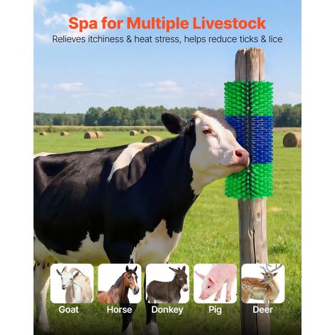 Brosse à Gratter Bétail, 1 Pièce, Grattoir pour Vaches, Chèvres, Chevaux, Bovins, Cochons, Toilettage et Soulager Démangeaisons Dos… (1/5)