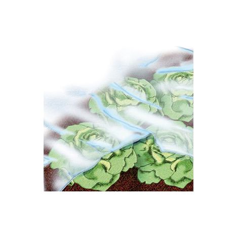 Bache Giardino 1,5X10M 17 G / M2, Bianco
