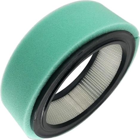 Filtro compatible con los modelos 394018, 392642, 402400 y 421400.