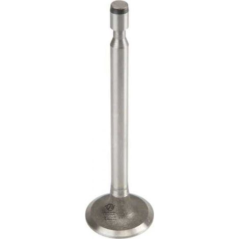 Soupape d'admission pour moteur Briggs & Stratton N° 261 055 (1/5)