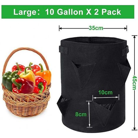 Set mit 2 Pflanzsäcken für schwarze Erdbeeren (1/3)