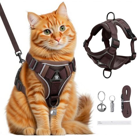 1 - Harnais Anti-Fuite - Laisse de Traction - Sangle Réglable avec Bande Réfléchissante pour Chats et Chiens - Sécurité Nocturne - Café - 18x15x2,5cm (1/5)