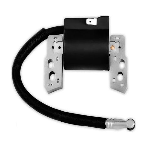 Bobine d'allumage haute tension compatible avec 590454 799381 790817 692605 (1/3)