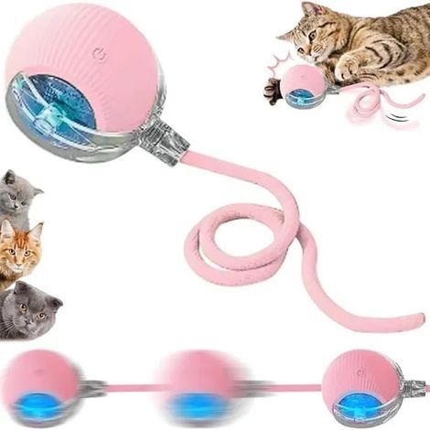 JZSH-Lot de 2 Balles Mobiles avec Queue - Jouet Interactif Coloré pour les Jeux des Petits et Moyens Chiens et Chats JOUET (1/5)