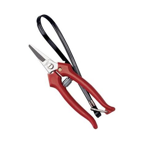 FORBICE COGLIUVA 15CM STD LGA Ausonia
