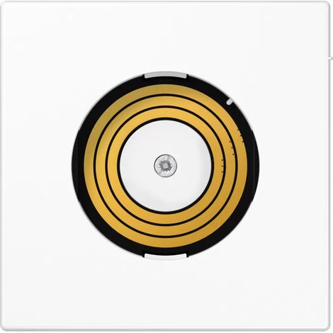 Jung Abdeckung für Spannungsversorgung Plug & Light 1fach, Thermoplast, Serie LS, alpinweiß PL LS DMS WW (1/2)