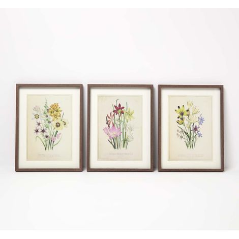 HOMESCAPES Wall Decoration Set of 3 Frames with Picture, Wildflowers