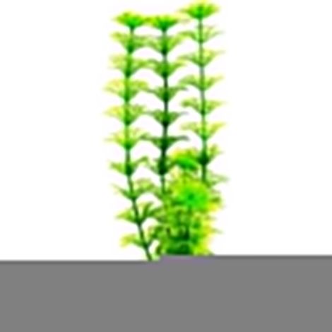 Tetra Pianta Decorativa in Plastica Modello Ambulia (Limnophila Heterophylla) - Modello: S (1/2)