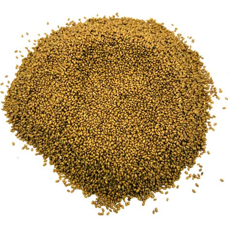 Kamelachsamen 500 g natürlich
