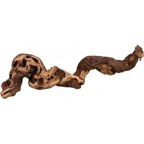 Trixie Naturdekoration Weinrebe 55-80 cm für Terrarium