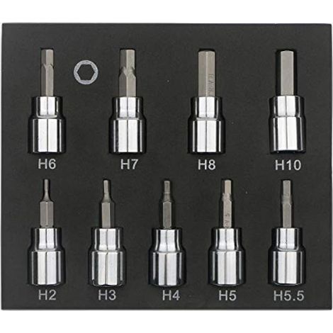 Lot de 9 douilles hexagonales de 3/8" pour clé Allen H2 H3 H4 H5 H5.5 H6 H7 H8 H10 (1/5)