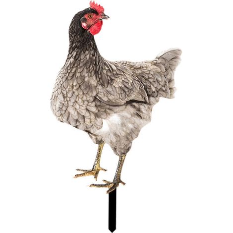 Statue de coq pour jardin, décoration extérieure, sculpture de poule pour fête de Noël-Style D