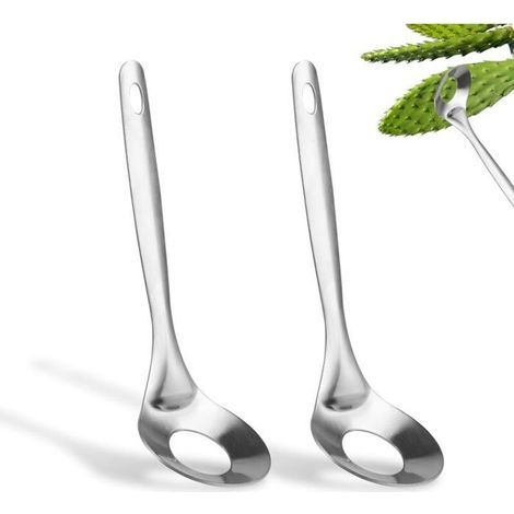 2-teiliges Kaktusschäler-Set, hochwertiges Kaktusschälwerkzeug aus Edelstahl mit Löffelöffnung zum Schälen von Kakteen (1/5)