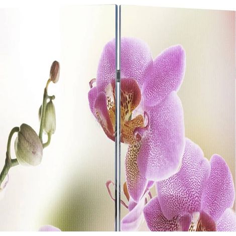Cloison de séparation pliable 217x170 cm Fleur