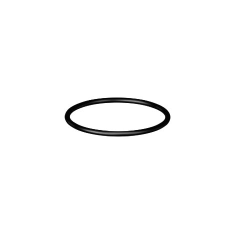 D1 O-Ring Siebtasse 1/2' - 3/4' VPE: 10 Stk.