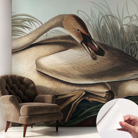 Selbsthaftend Tapete für Wohnzimmer Schlafzimmer Küche - Wanddekoration  Natürlicher Vogel 250x250 cm (1/5)